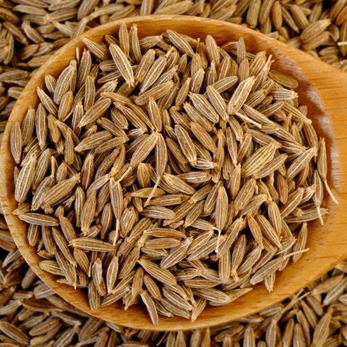 Whole Jeera (Cumin), Color : Natural