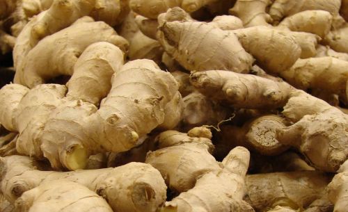 Raw Fresh Ginger, Color : Brown, Specialities : Pure, Form : Whole