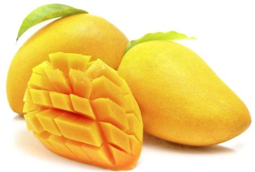 Fresh Mango, Color : Yellow, Packaging Type : Carton