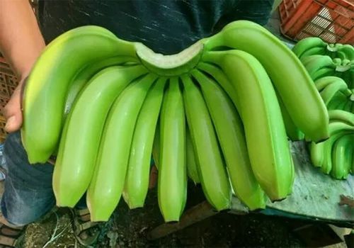 Fresh Banana, Color : Yellow