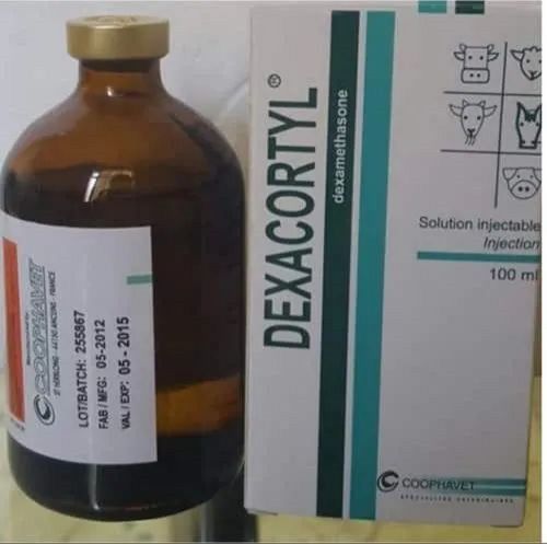 Dexacortyl Injection