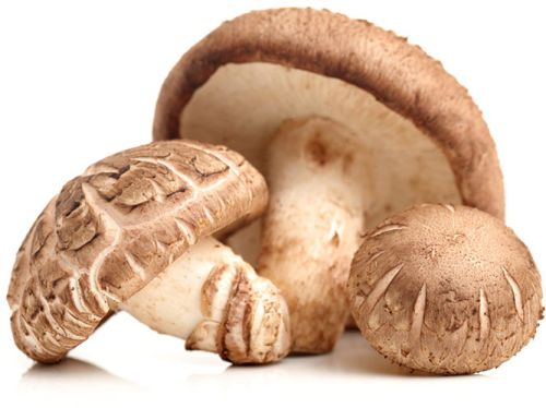 Natural Shiitake Mushroom, Color : Brown