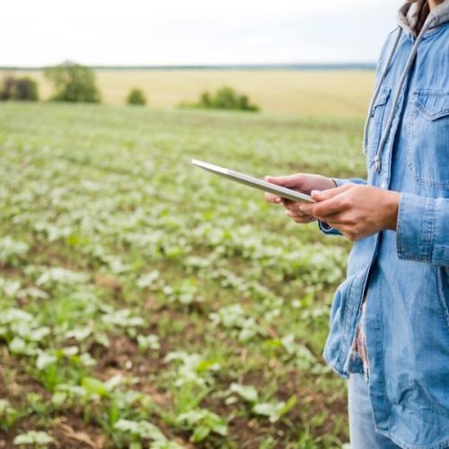 Agricultural Land Valuation Services