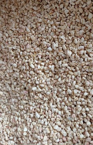 4-6mm Corn COB Grit Dried, Packaging Type : Plastic Bag