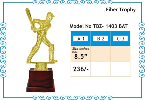 Polished Cricket Trophy, Shape : Customized, Packaging Type : Golden