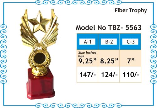 Fiber Trophy for Winning Award