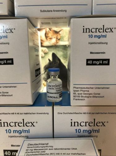 Increlex Mecasermin Injection, Brand Name : Somatropin