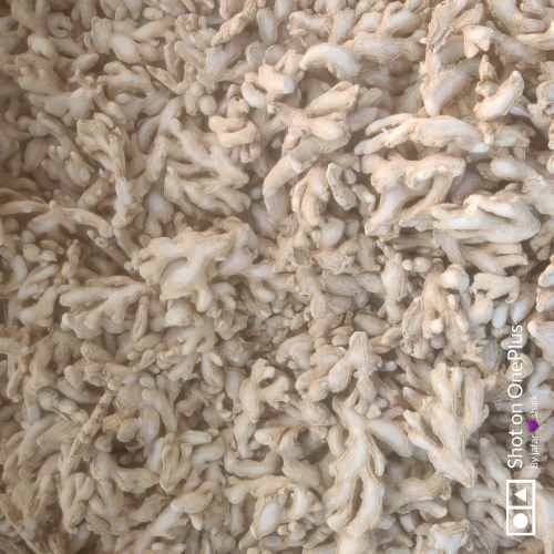Dried Ginger Flakes, Packaging Size : 1Kg