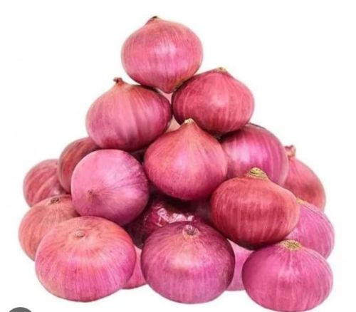 Natural Onions, Packaging Size : 50Kg, State Of Origin : Maharashtra