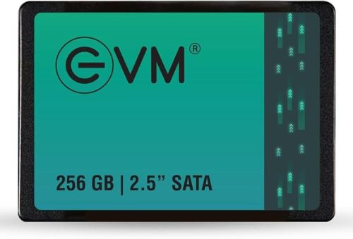 EVM 256 GB Internal Solid State Drive