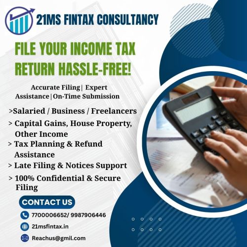 Income Tax Return Filing Service