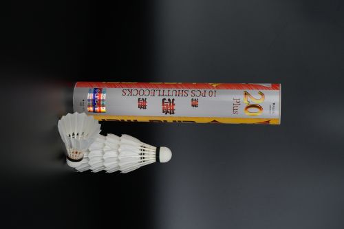 Goose Feather Badminton Shuttles 10 Shuttlecock Per Tube