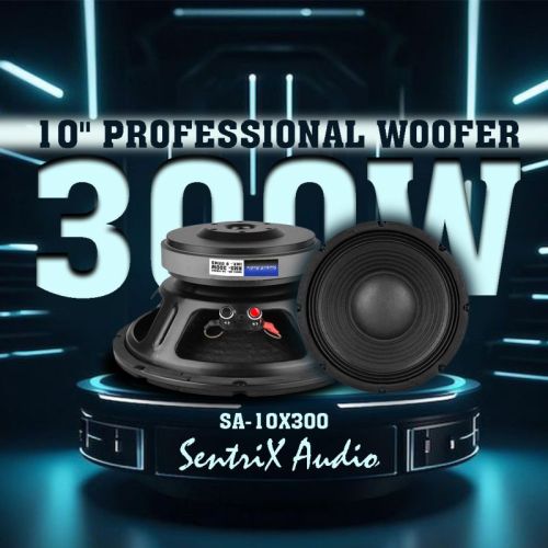 Sentrix Audio Professional Woofer, Packaging Type : Black, Grey