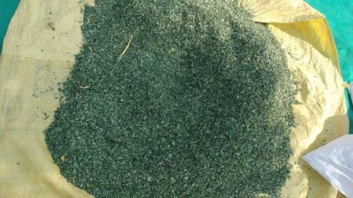 Organic moringa dried leaves, Packaging Type : Green for Medicine