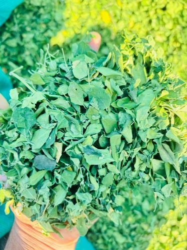 Organic Moringa Leaves, Color : Green for Medicine