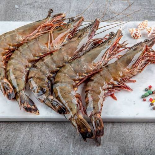 Prawns, Packaging Type : Brown