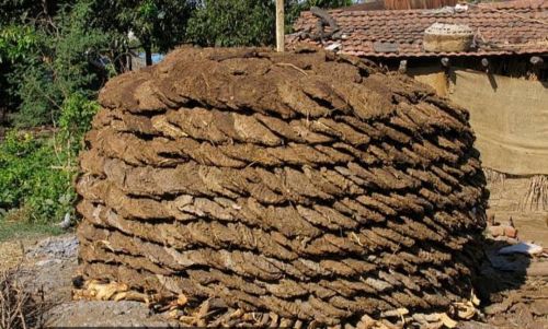 Cow dung, Form : Granules, Packaging Type : Brown