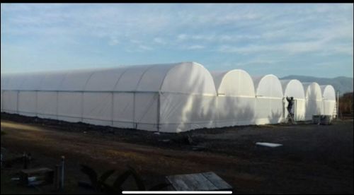 Plain Polyhouse for Agriculture