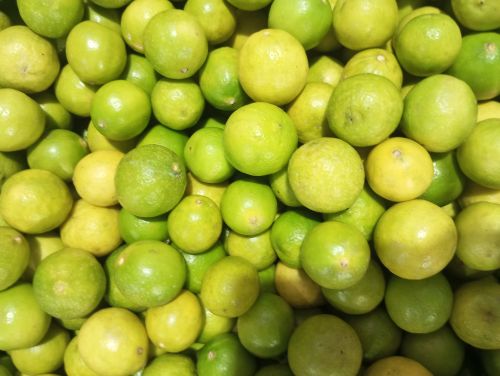 Organic A Grade Lemon, Packaging Type : Yellow