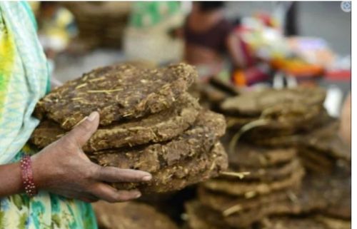Cow dung, Packaging Type : Brown