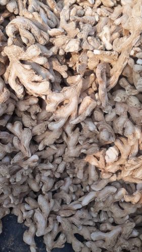Natural Dry Ginger, Color : White, Packaging Size : 25Kg