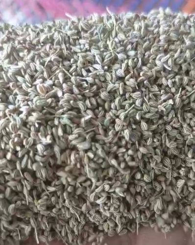 Ajwain Seeds, Brand Name : Jarasa
