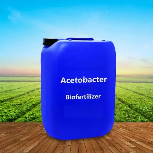 Acetobacter Bio Fertilizer, Packaging Type : White Or Off-white