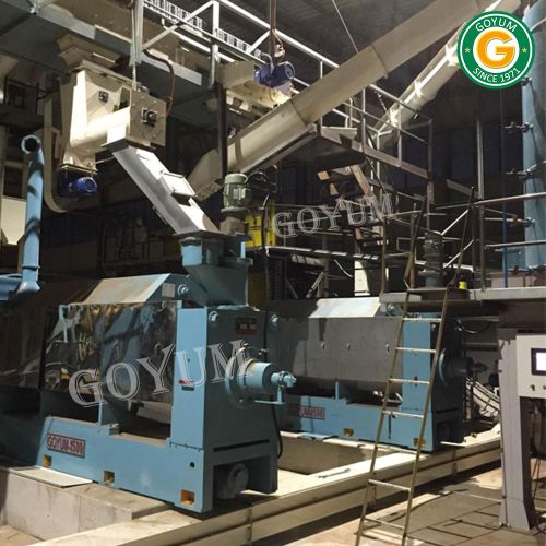 Automatic Neem Seed Oil Extraction Plant