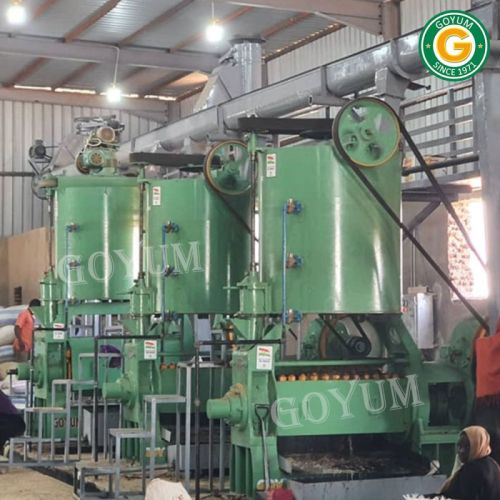 Goyum Semi Automatic Electric Neem Seed Oil Mill Plant