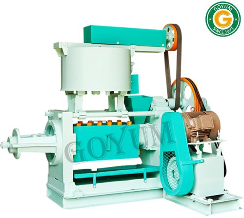 Tiny / Small / Mini Screw Oil Press