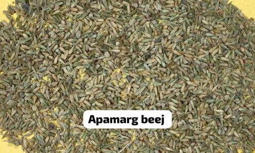 Apamarg Beej, Packaging Type : Packet for Ayurvedic Raw Herb
