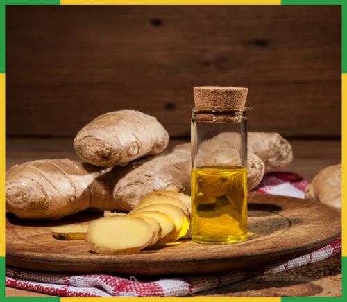 Ginger Oil, Color : Yellow for Aromatherapy