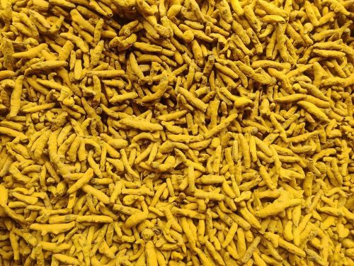 Organic Turmeric Finger Dried, Form : Solid