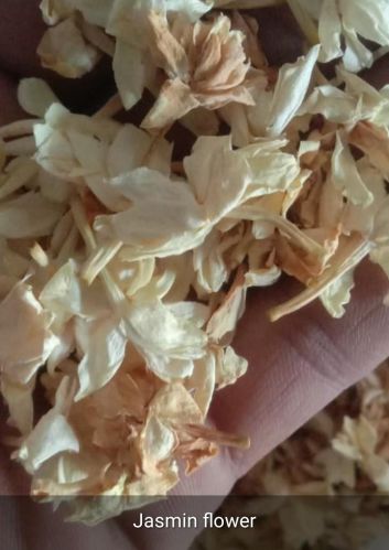 Pranacharya Grenshield Natural Dried Jasmine Flower, Color : White