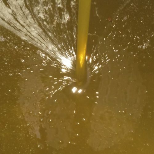 Natural Honey, Color : Yellow, Certification : FSSAI Certified