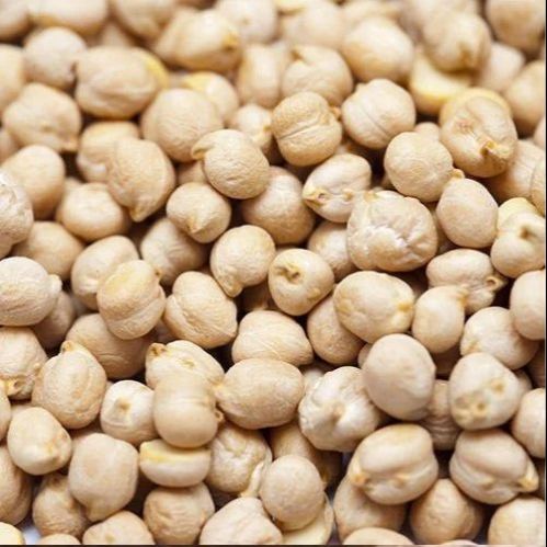 Natural White Chickpeas Pulses, Certification : FSSAI Certified