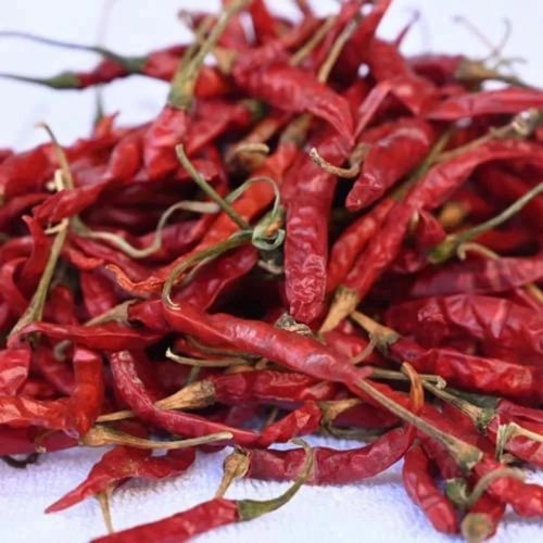 Dried Teja Red Chilli, Packaging Type : Plastic Bag, GUNNY BAGS TOO