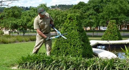 Horticulture and Gardening Service