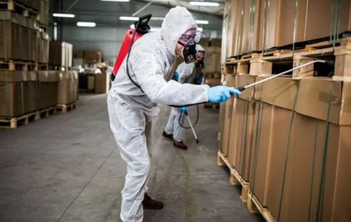 Pest control service