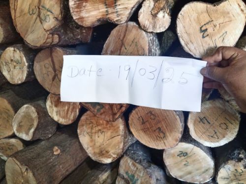 White-Red Sandalwood Logs, Brand Name : FS A1 IMPORT EXPORT