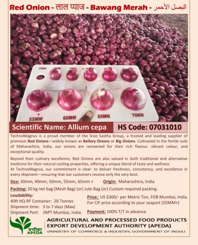 Red onion, Packaging Size : 5Kg, 10Kg, 25Kg, 50Kg
