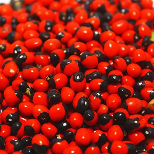 Common Red Gunja Seeds