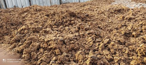Cow dung, Packaging Type : Loose, Carton Box, 50kg/Bag