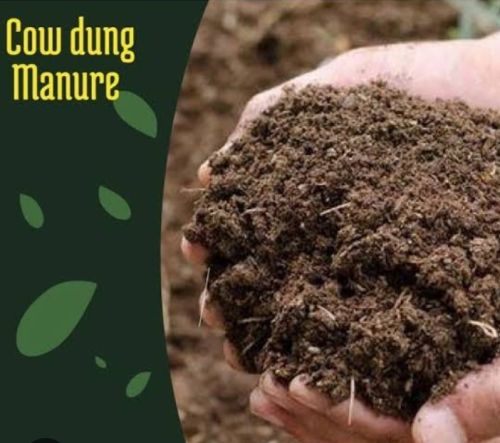 Cow dung manure, Form : Granules, Packaging Type : Brown