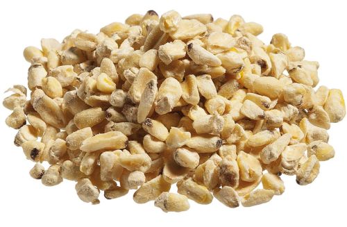 Natural Corn Germ, Color : Light Yellow, Creamy Yellow