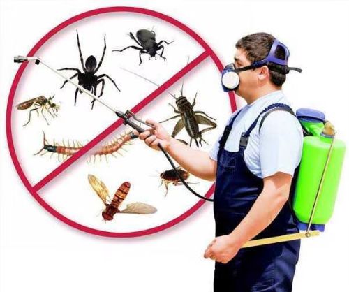 Commercial Industrial Pest Control Service