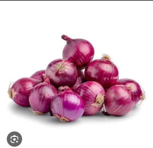 Onions, Packaging Size : 25Kg, 50Kg Red for Cooking, Restaurant