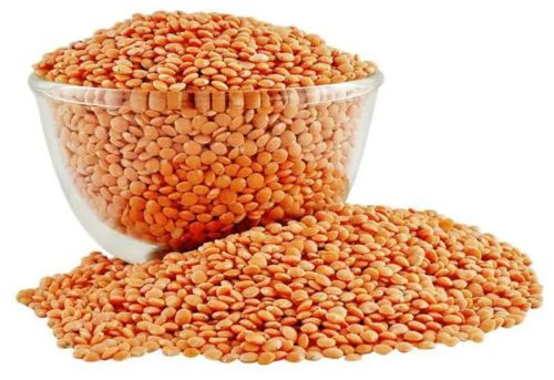 Organic Red Masoor Daal, Purity : 100 %