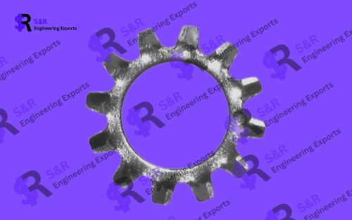 External Tooth Lock Washers