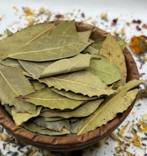 Dried Bay Leaf, Color : Green, Packaging Size : 5-25kg
